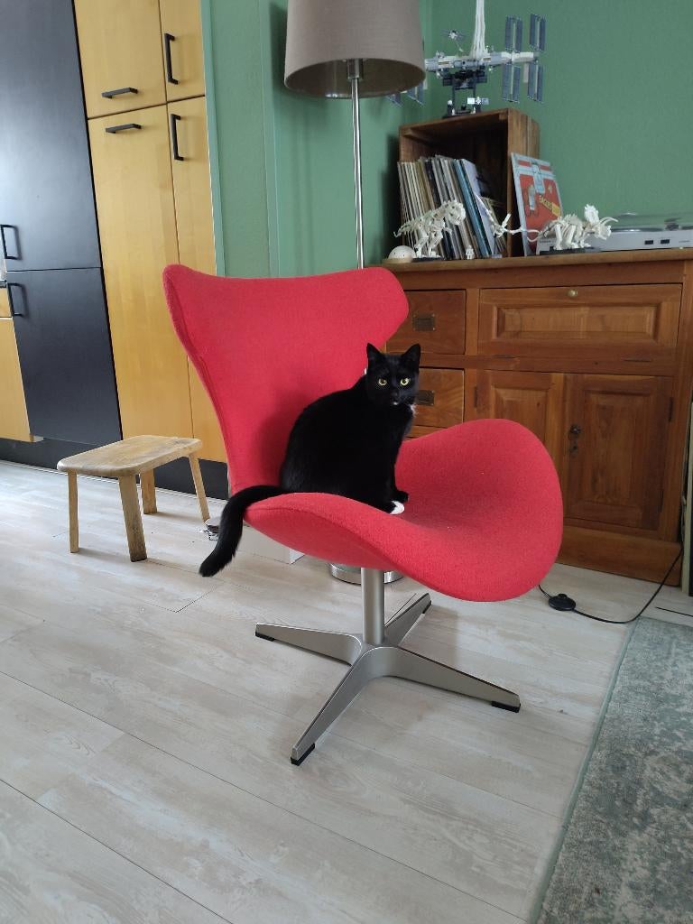 WOOOD fauteuil (rood), Huis en Inrichting, Fauteuils, Gebruikt, Metaal, Stof, 50 tot 75 cm, 75 tot 100 cm, Ophalen