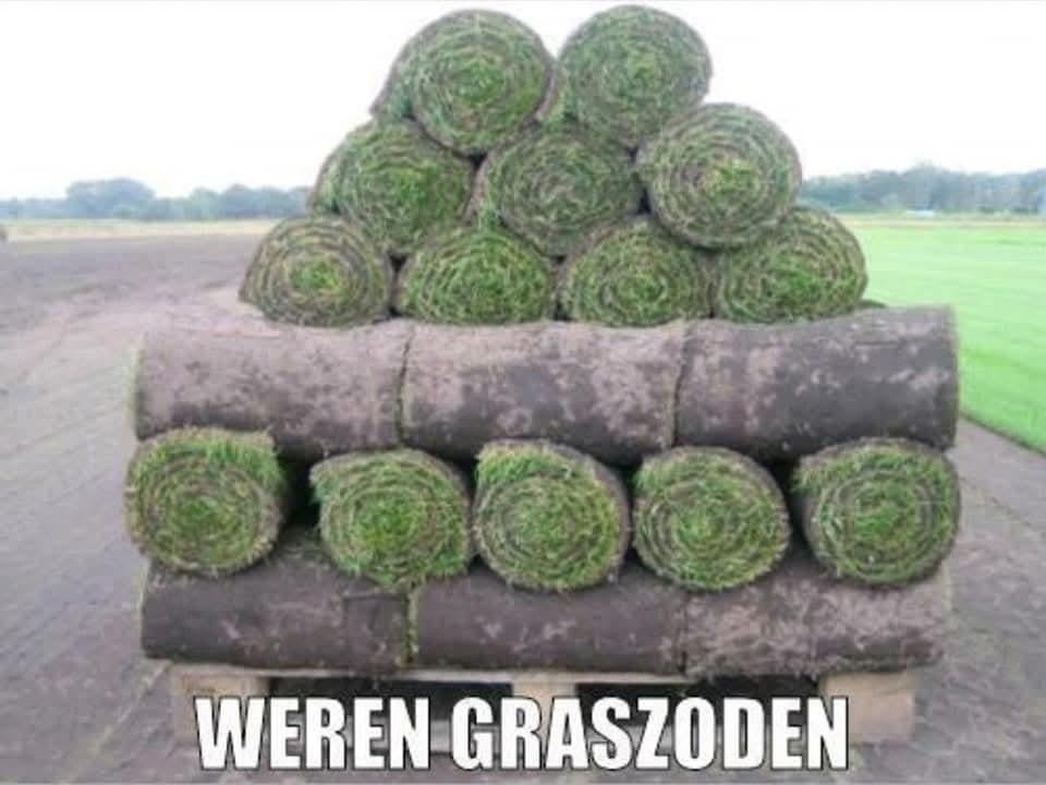 Graszoden grasmatten gazonzoden gazon grasrollen, Ophalen of Verzenden, Nieuw, Overige typen