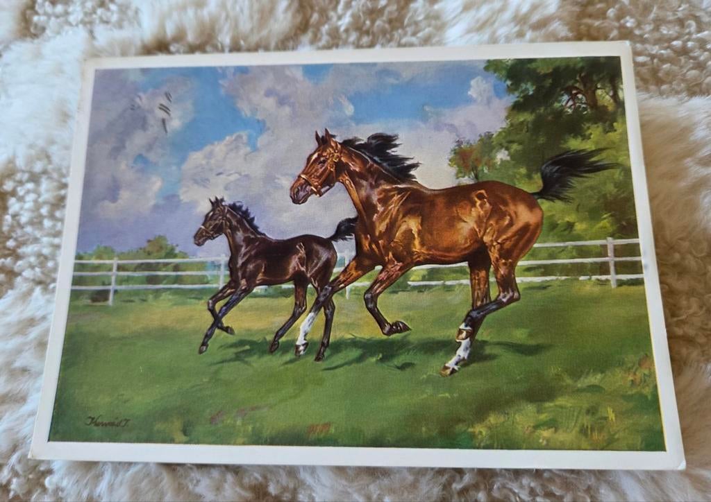 Galopperende paarden - J. Konrad, Verzenden, 1940 tot 1960, Gelopen, Paard