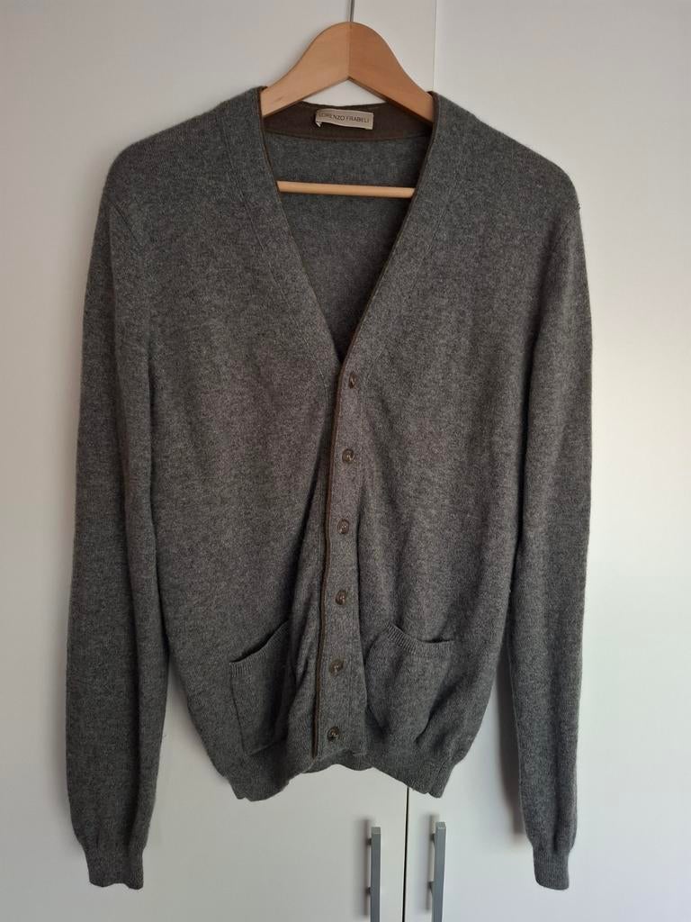 Mooi heren vest van Lorenzo Frabeli maat 50, Kleding | Heren, Maat 48/50 (M), Ophalen of Verzenden, Zo goed als nieuw, Grijs