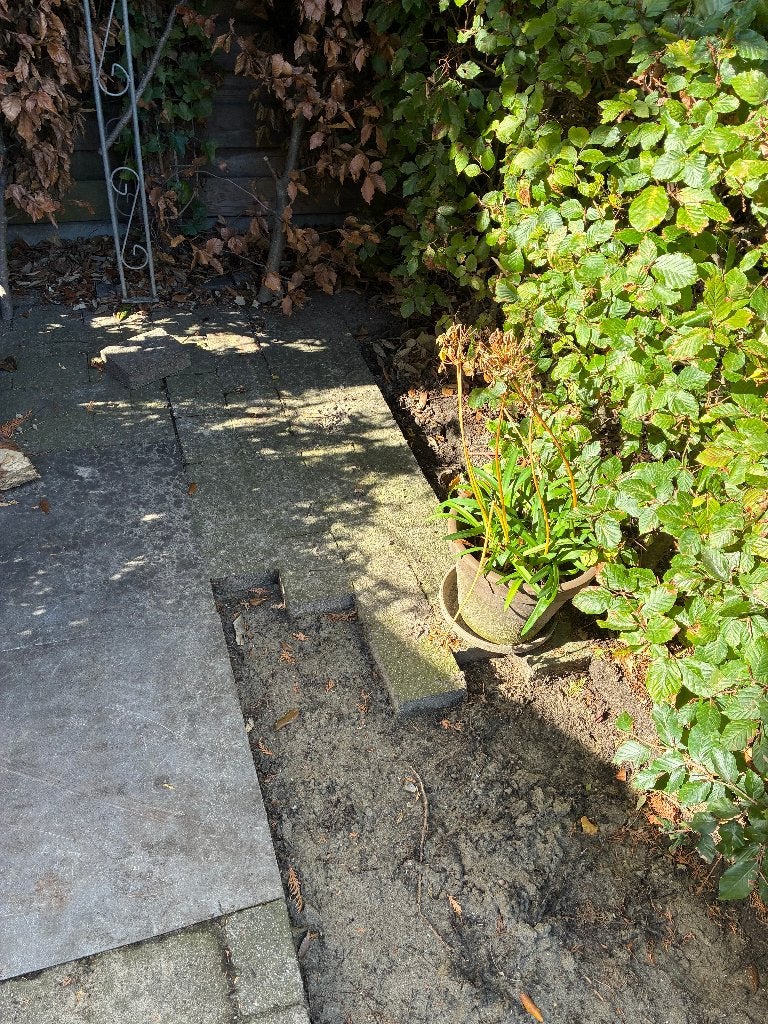 Gratis af te halen – ca. 30 m² betonklinkers, Ophalen, Gebruikt, Klinkers, 10 m² of meer