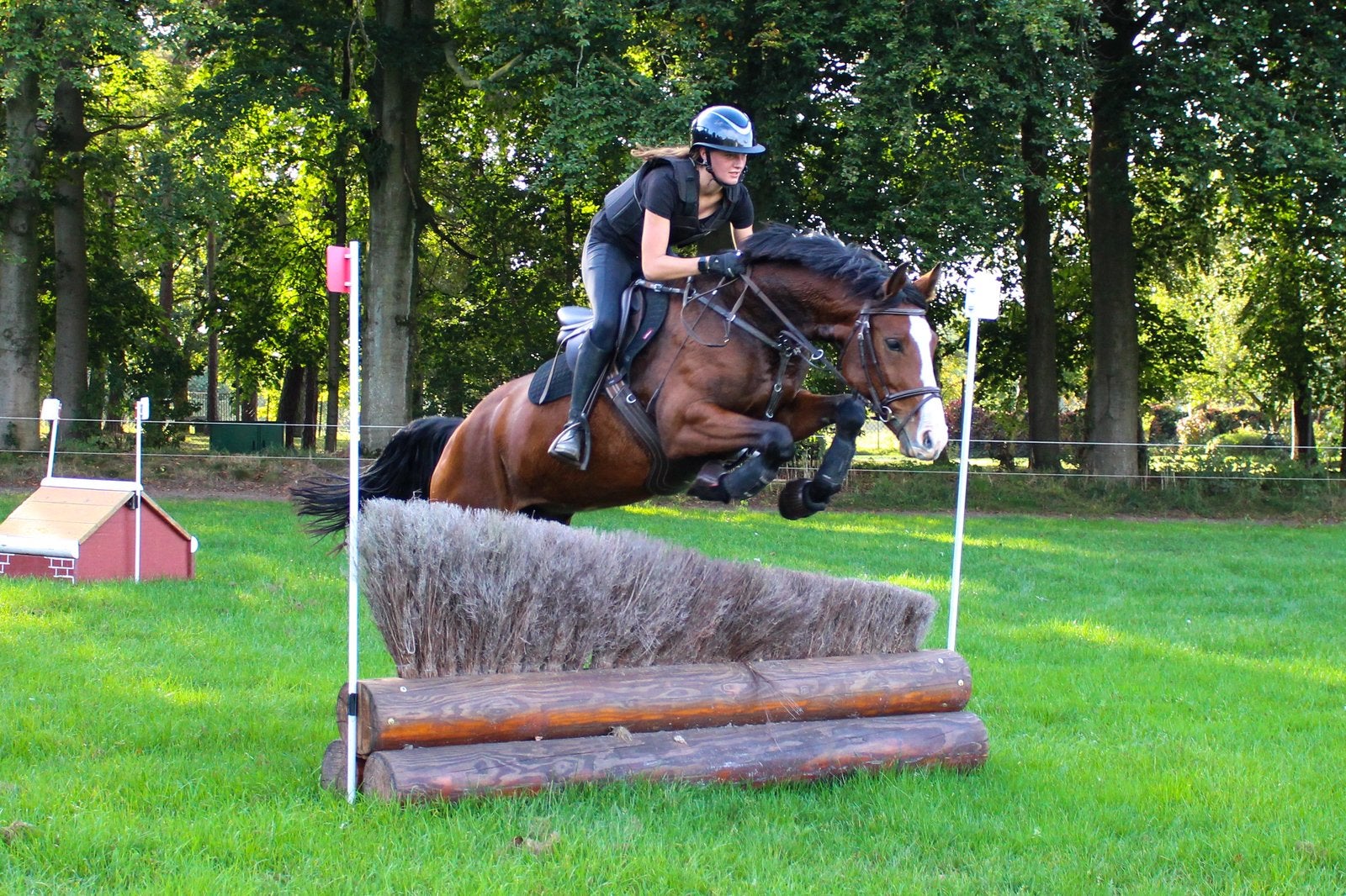 Lieve, talentvolle merrie, Dieren en Toebehoren, Paarden, Merrie, 7 tot 10 jaar, 160 tot 165 cm, Recreatiepaard