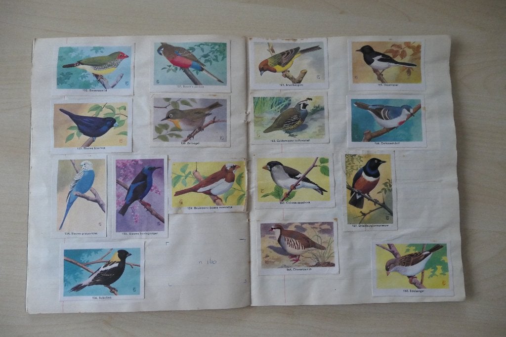 Rizla+ vogelplaatjes, Ophalen of Verzenden