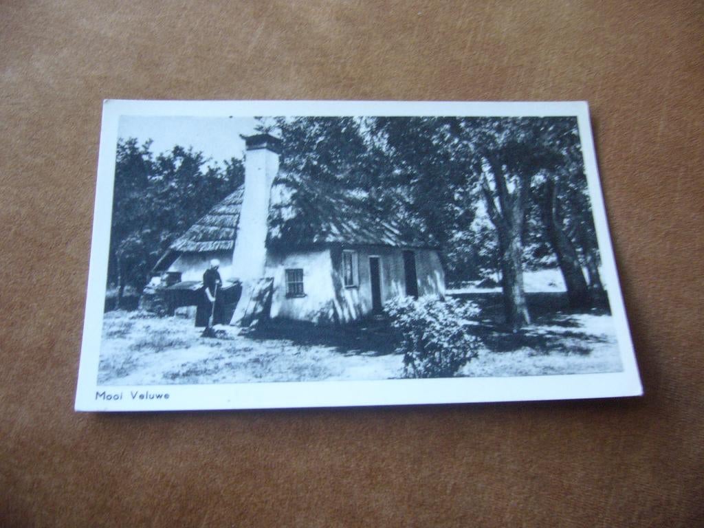 MOOI VELUWE, Ophalen of Verzenden, 1940 tot 1960, Gelopen, Gelderland