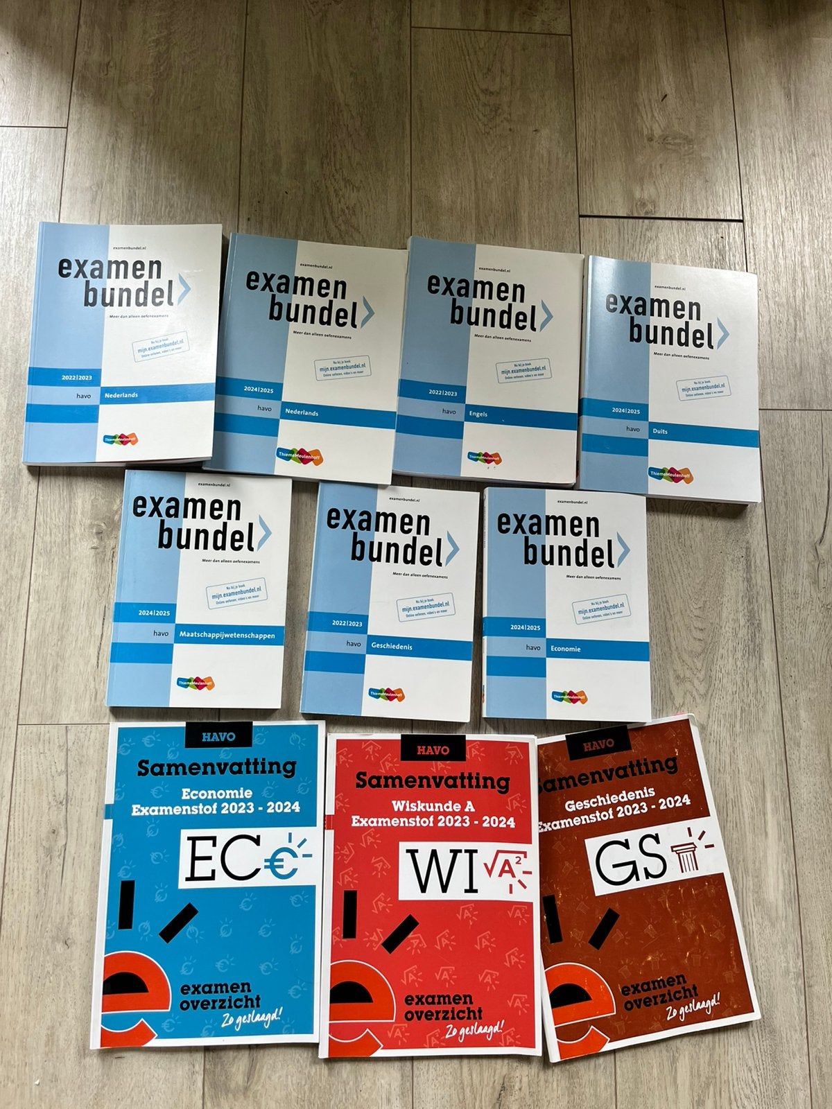 Examenbundels havo, Boeken, Schoolboeken, Ophalen of Verzenden, Gelezen, HAVO, Overige vakken