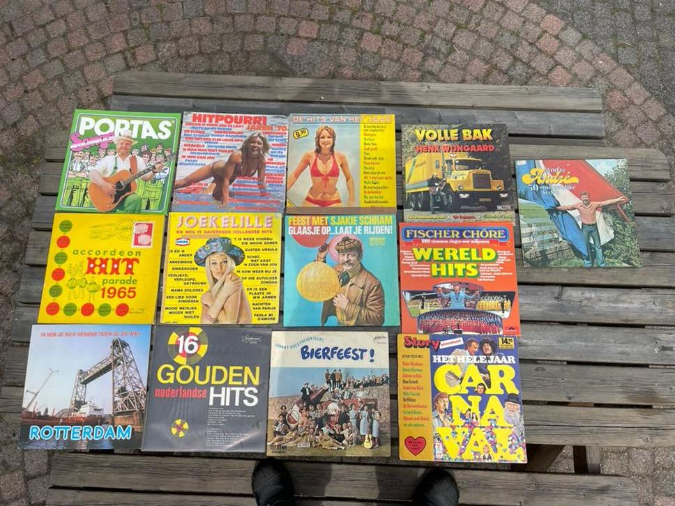Diverse Nederlandse LP's: Kroegmuziek, Piraten, Levenslied, Gebruikt, Ophalen of Verzenden, 1970 - 1979, Levenslied of Smartlap