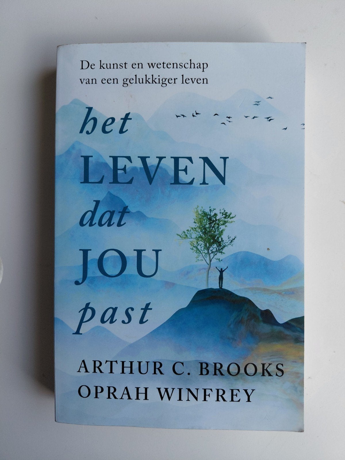 Arthur Brooks - Het leven dat jou past, Boeken, Ophalen of Verzenden, Zo goed als nieuw, Arthur Brooks; Oprah Winfrey