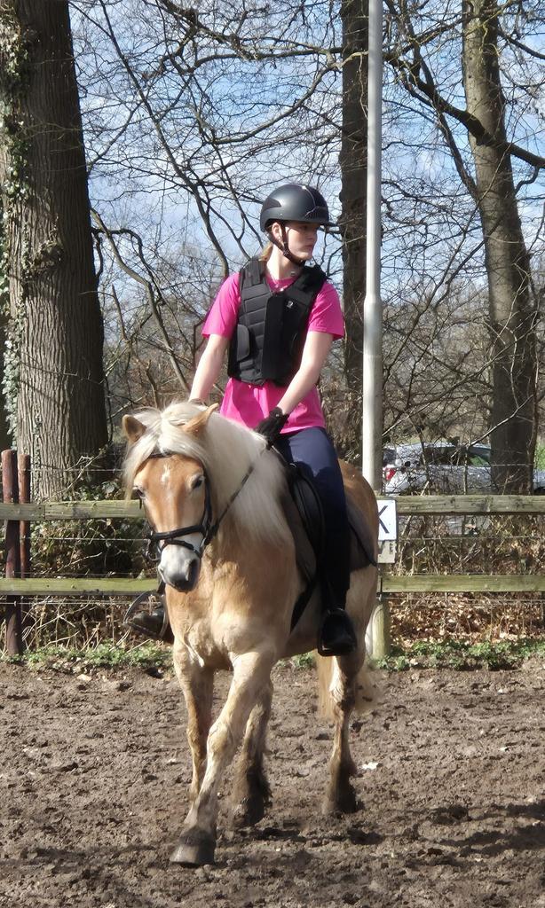 Ik zoek een verzorg pony!, Ophalen of Verzenden, Zo goed als nieuw