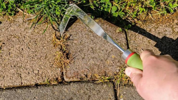 Onkruid verwijderen, Tuin en Terras, Ophalen, Tuinaarde
