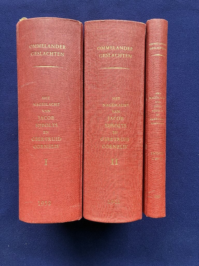 Ommelander geslachten, Boeken, Ophalen of Verzenden, Gelezen, Ritzema van Ikema, K.J.
