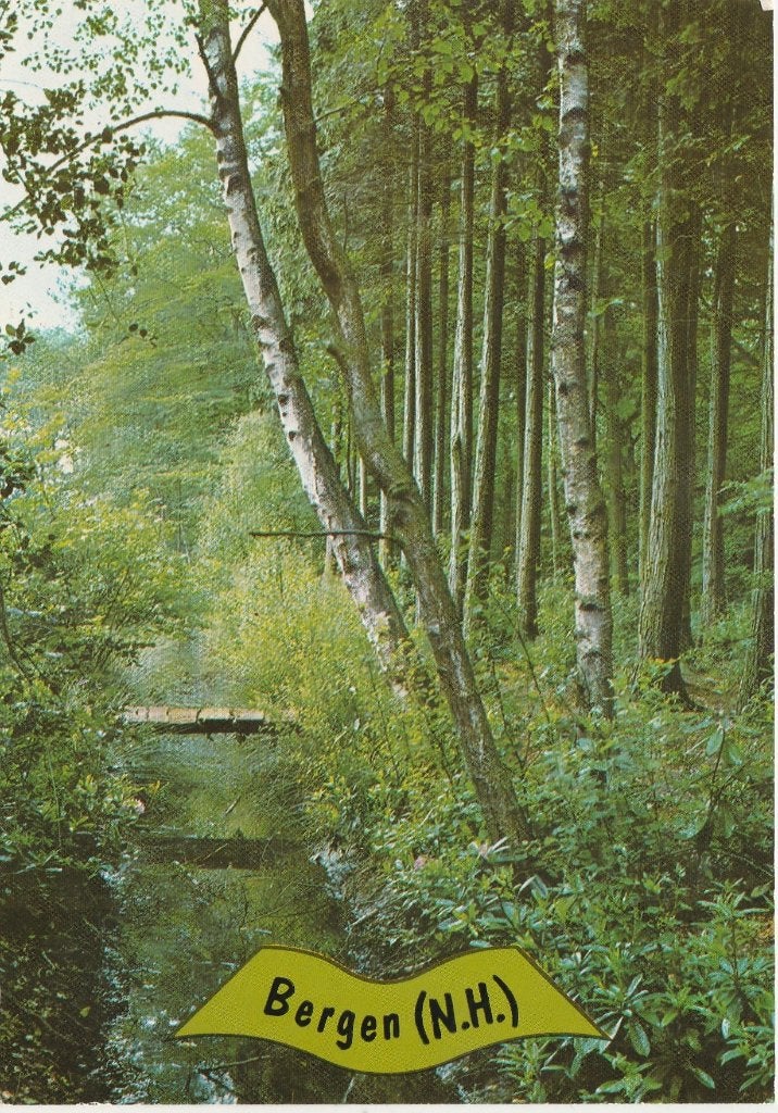 BERGEN (N.H.) Bosgezicht, Verzenden, 1980 tot heden, Gelopen, Noord-Holland