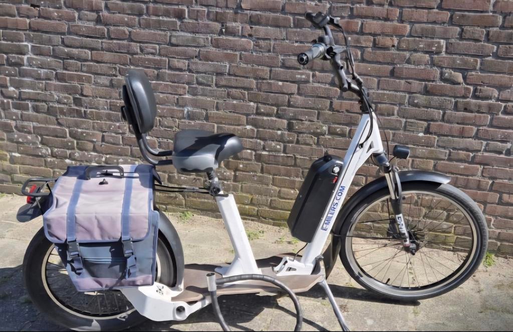 Elektrische fiets, Ophalen of Verzenden, Gebruikt, Overige merken