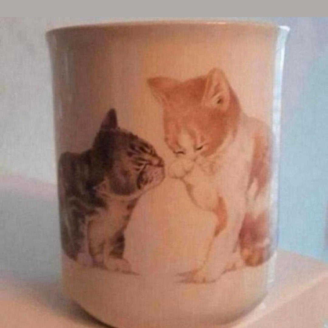 Beker met Katten opdrukken, Ophalen of Verzenden, Zo goed als nieuw, Overige stijlen, Kop(pen) en/of Schotel(s)