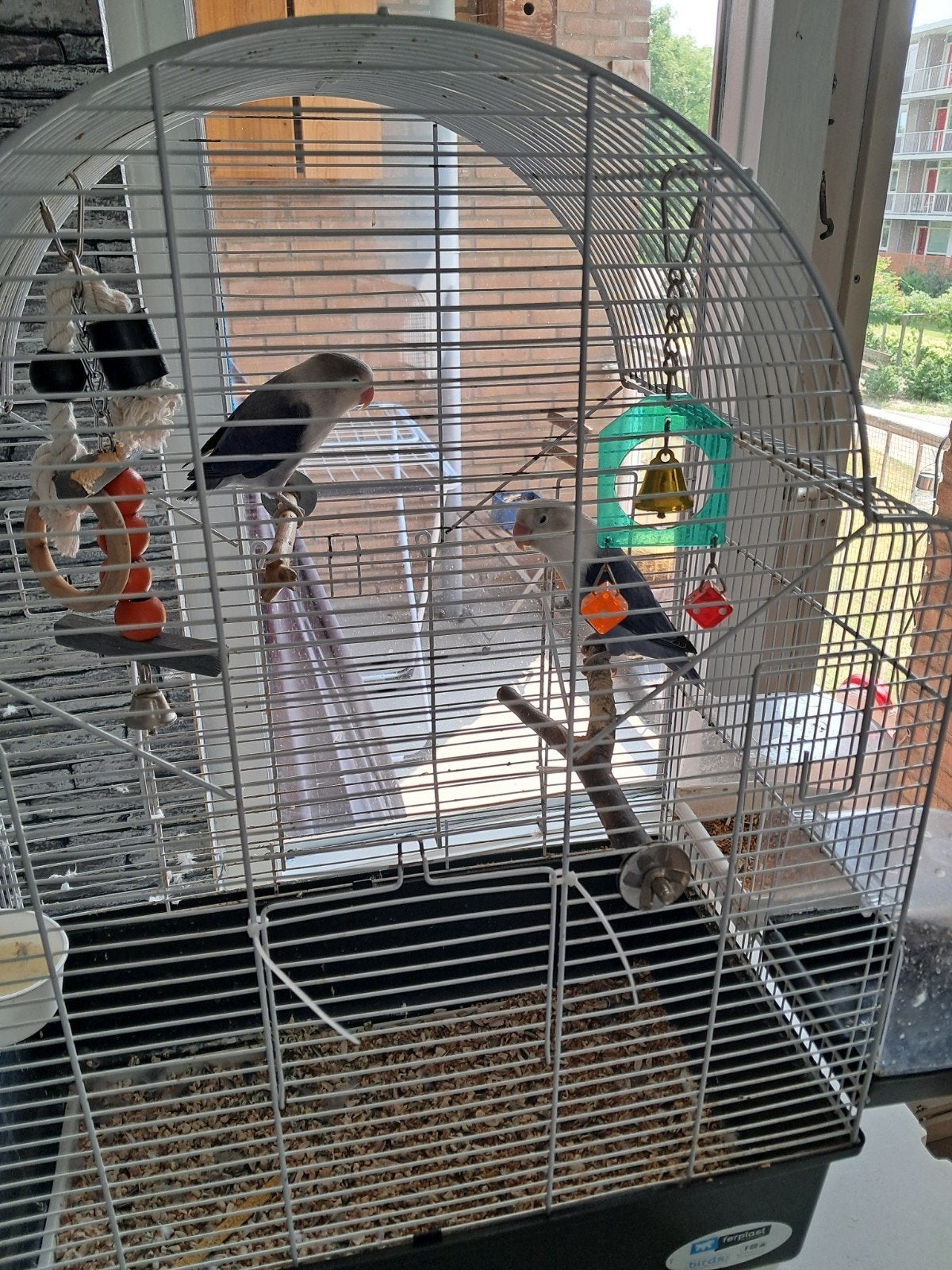 2 volgels te koop, Ophalen of Verzenden, Gebruikt, Overige materialen, Vogelkooi