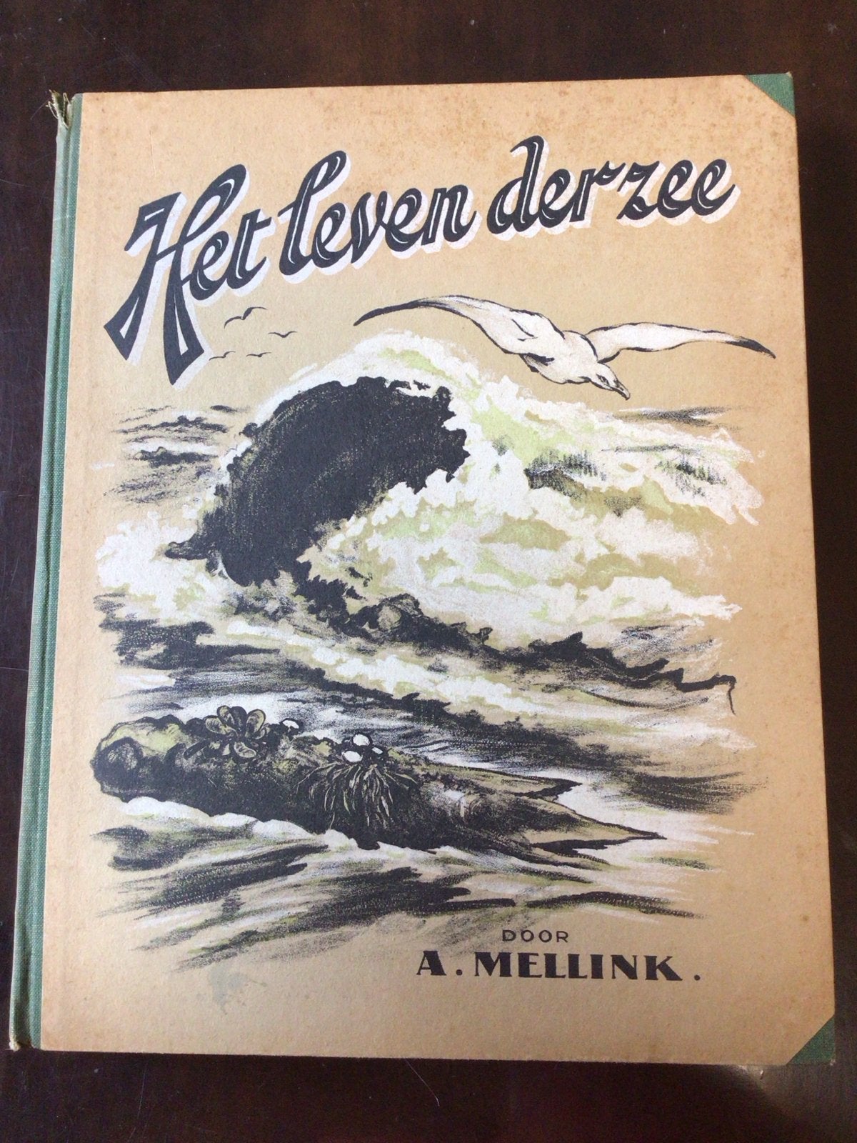 Het leven der zee - A. Mellink (Vintage Boek), Ophalen of Verzenden, Gelezen, Natuur algemeen