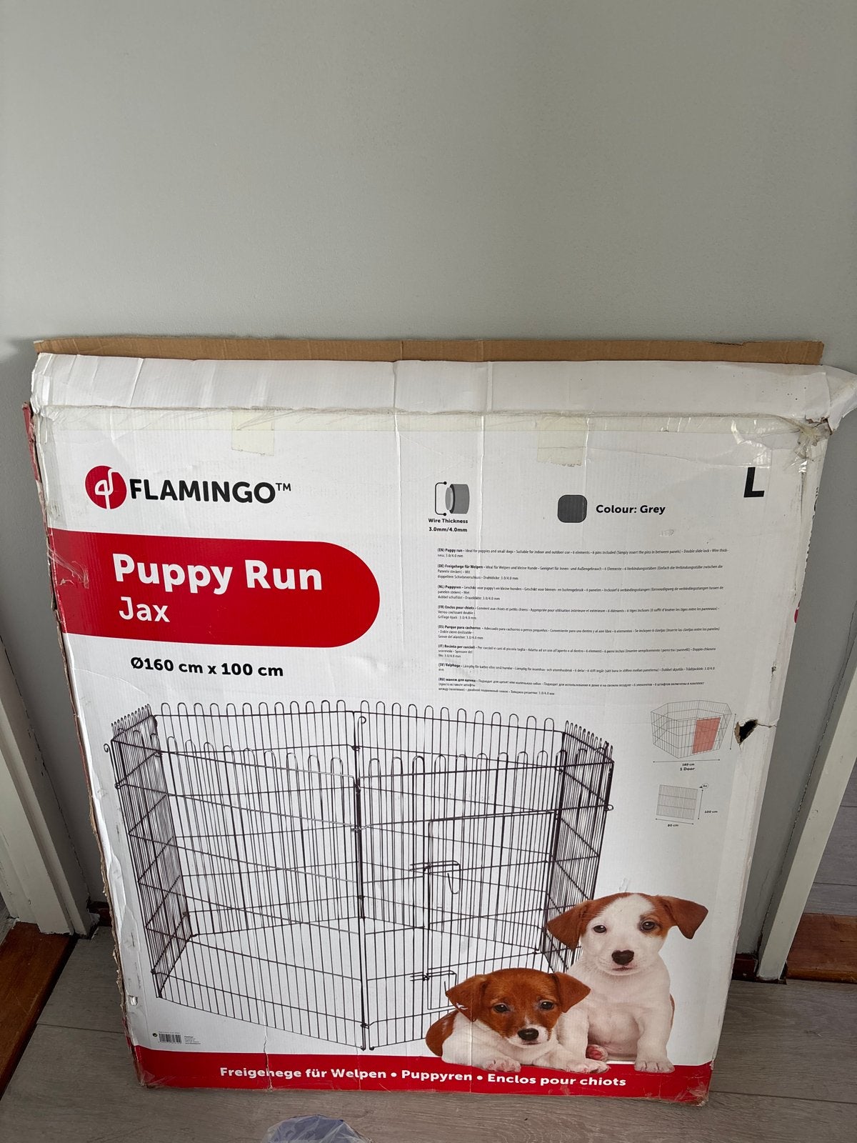 Puppy  ren, Dieren en Toebehoren, Ophalen