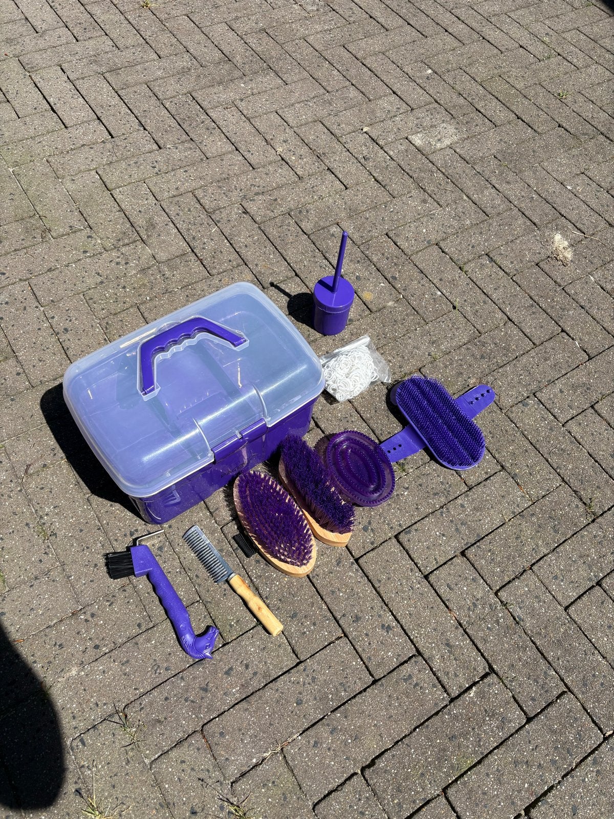 Ongebruikt poetskistje met verschillende borstels, Ophalen of Verzenden, Nieuw