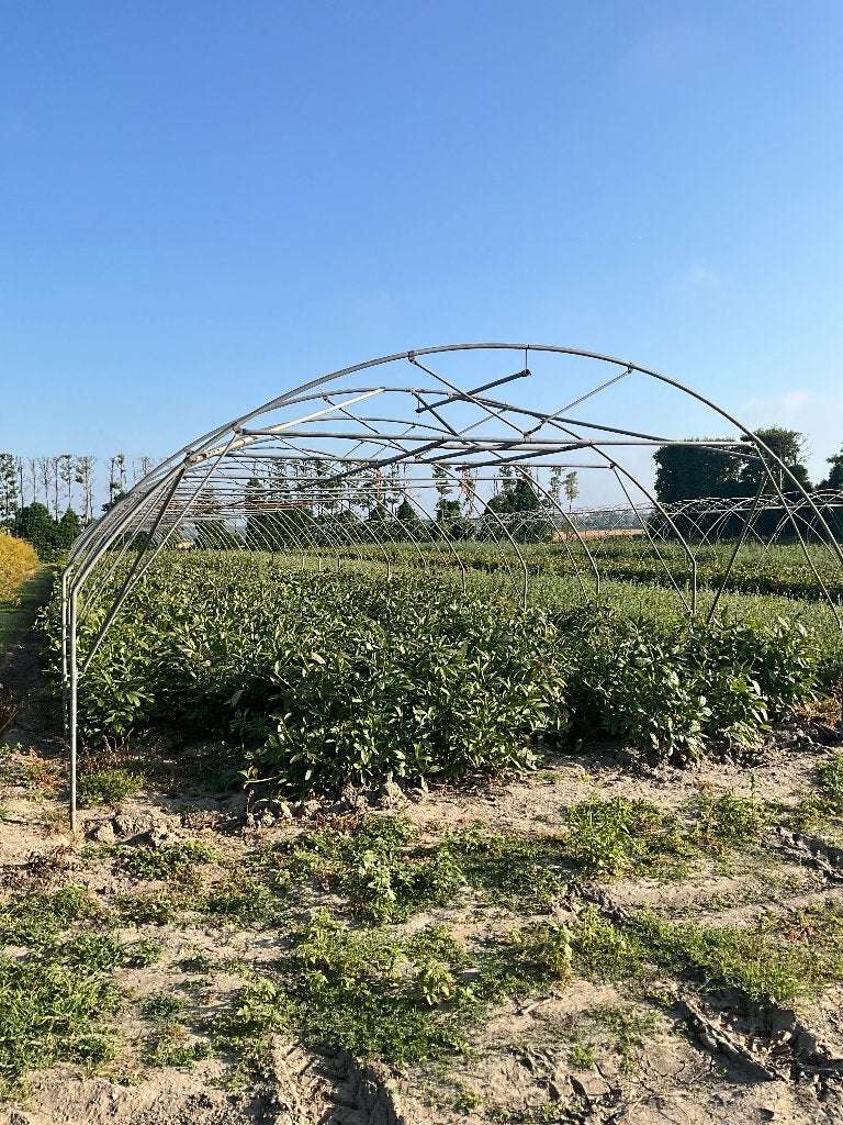 Wandelkap tunnel kas, Tuin en Terras, Kweekspullen, Ophalen