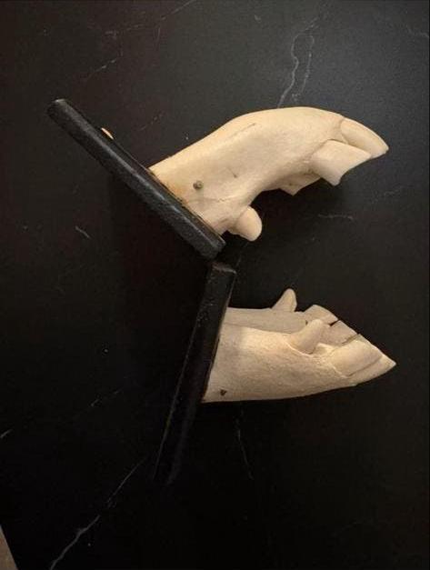 Vintage anatomisch model, Ophalen