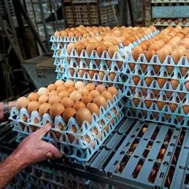 Leuke bijbaan! Voor 3 uur per dag