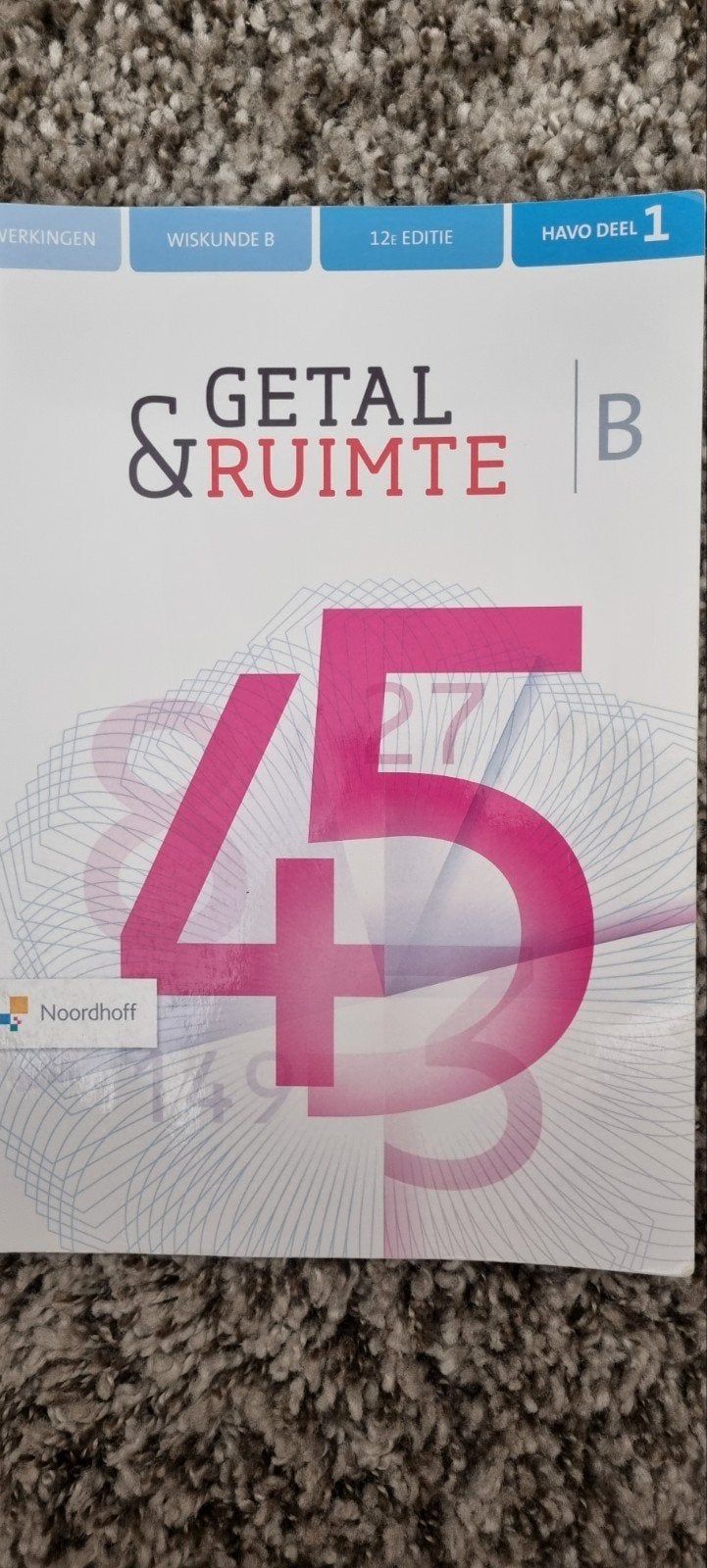 Uitwerkingen getal en ruimte B havo deel 1, Boeken, Ophalen of Verzenden, Zo goed als nieuw, Noordhoff Uitgevers, Overige onderwerpen