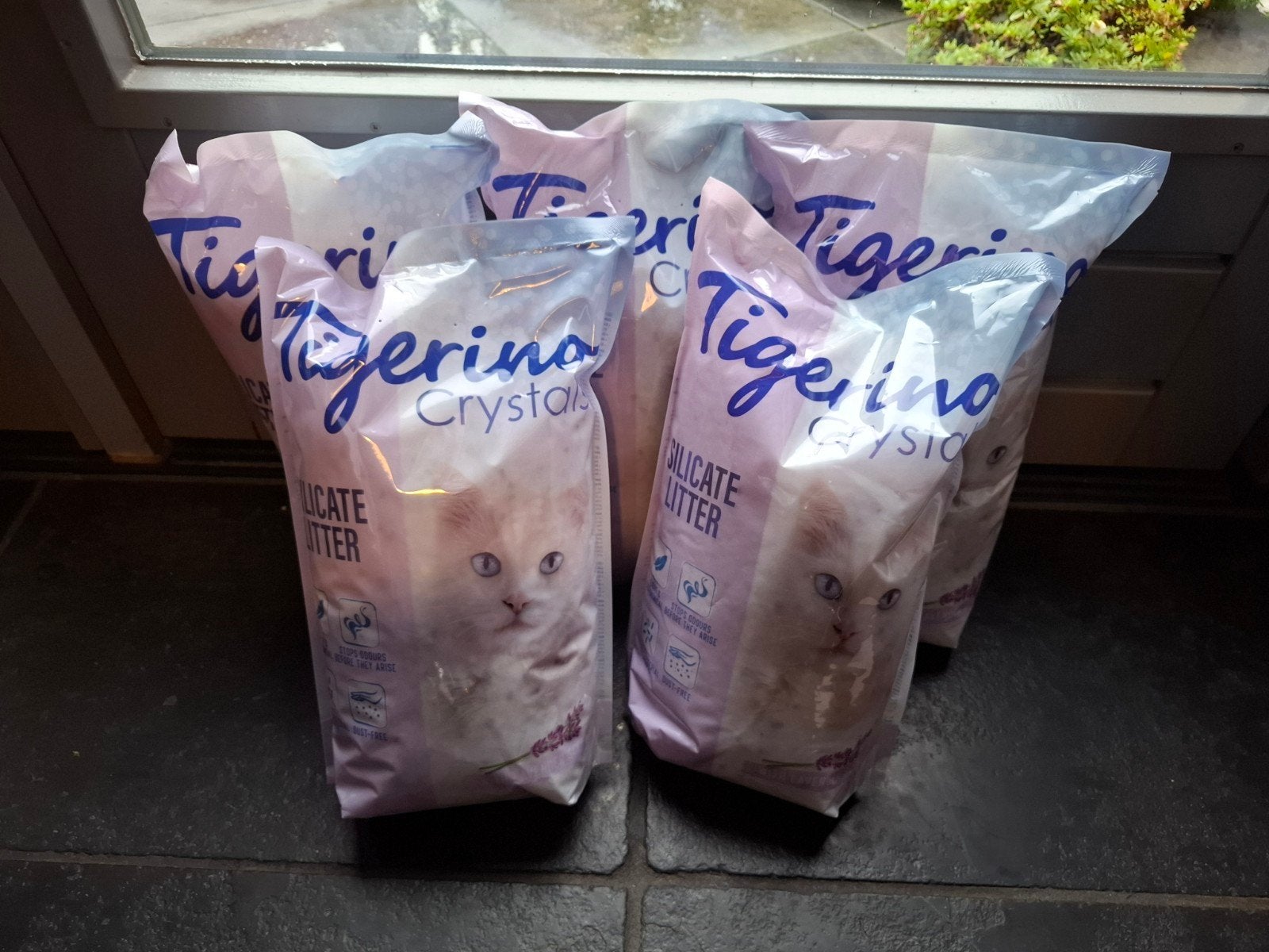 5 dichte zakken Tigerino kattenbak vulling, Ophalen of Verzenden, Nieuw