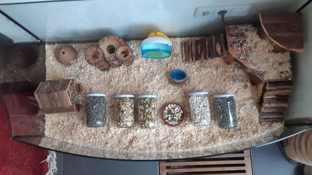 Glazen kooi voor rat, muis of hamster met toebehoren, Kooi, Gebruikt, Muis, 75 tot 110 cm