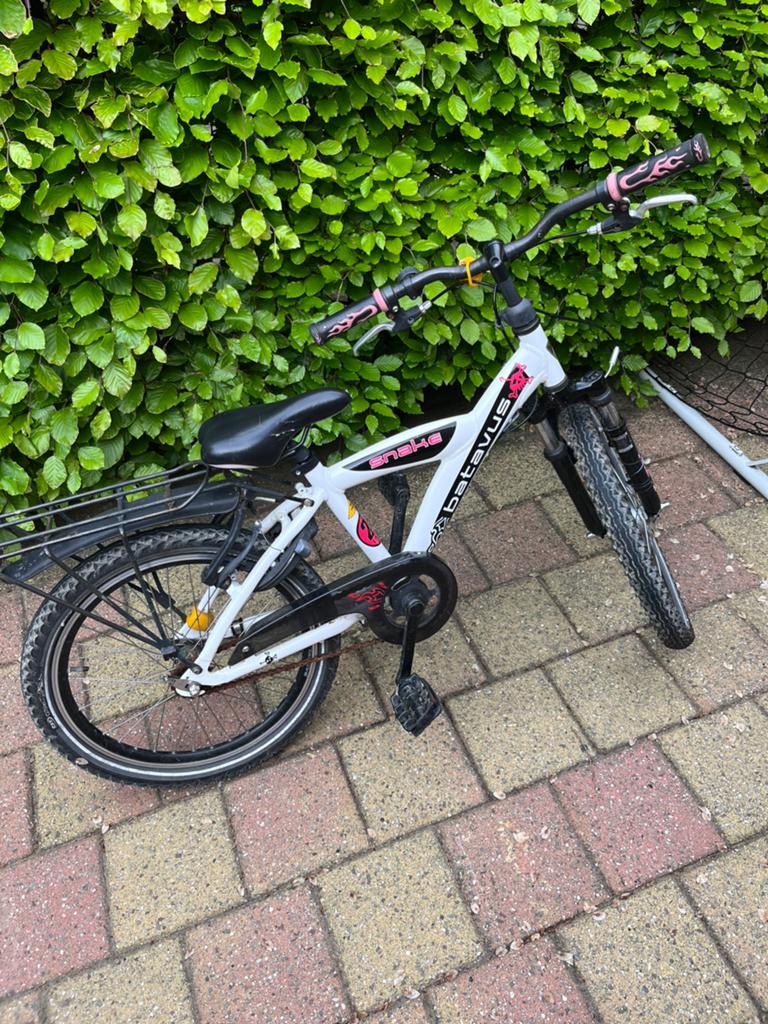 Batavus Snake, Fietsen en Brommers, Fietsen | Jongens, Ophalen, Gebruikt, Terugtraprem, 22 inch