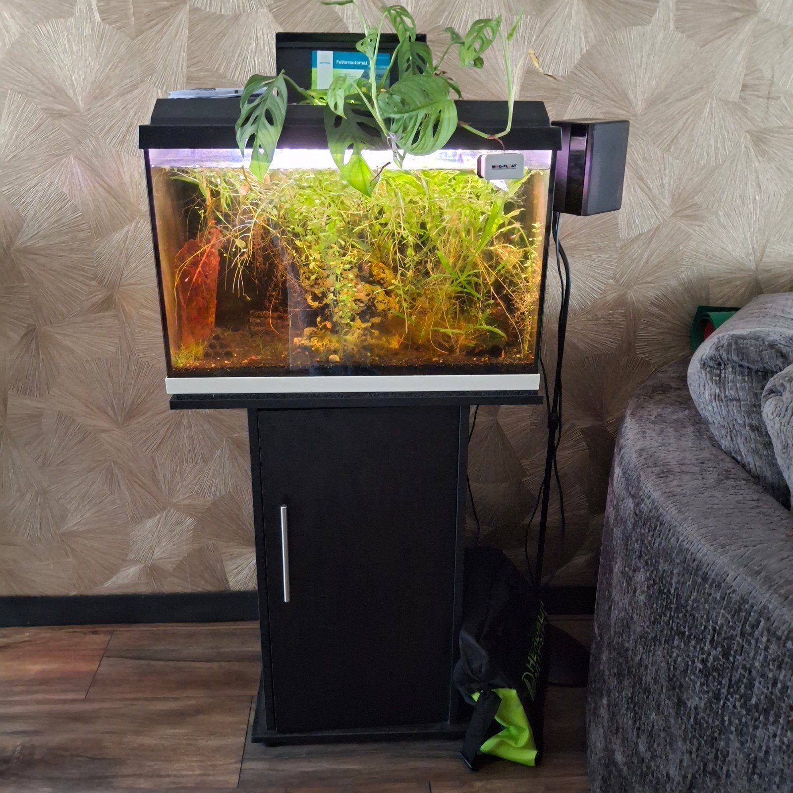 complete aquarium met carnalen, Dieren en Toebehoren, Vissen | Aquaria en Toebehoren, Ophalen of Verzenden