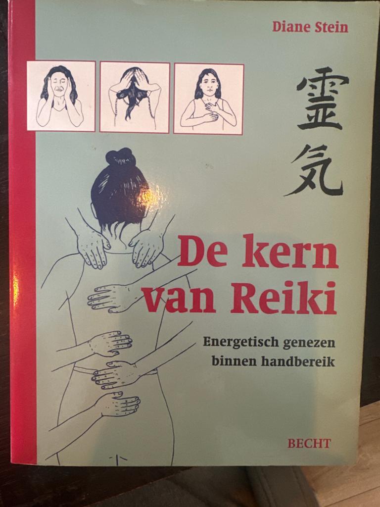 De kern van Reiki - Energetisch genezen binnen handbereik, Ophalen of Verzenden, Gelezen, Meditatie of Yoga, Instructieboek