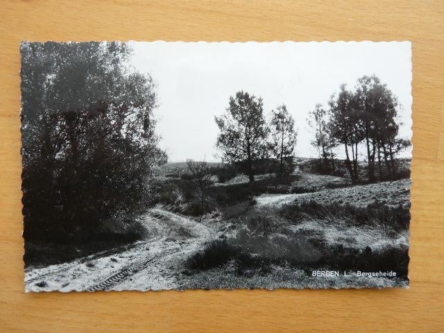Bergen Limburg Ansicht Bergse heide, 1964, Verzamelen, Ophalen of Verzenden, 1960 tot 1980, Gelopen, Limburg