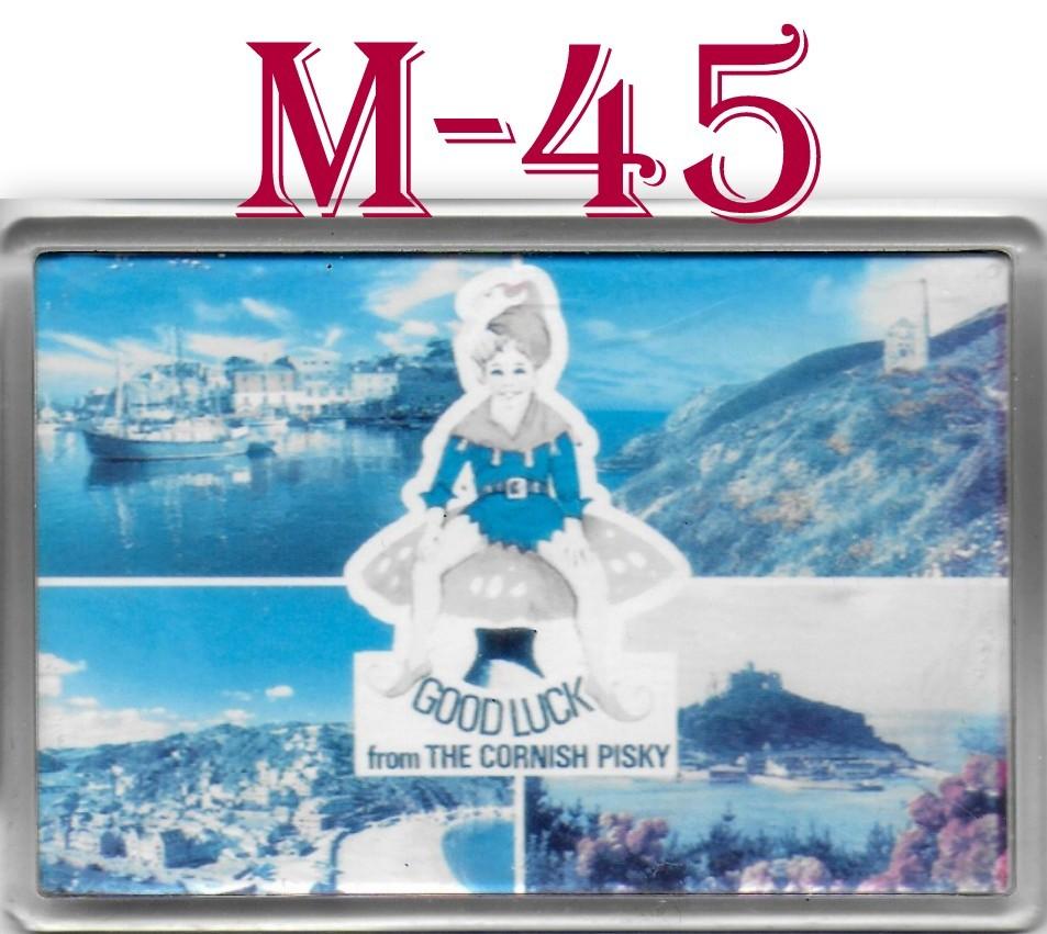 M44 koelkastmagneetje the cornish pisky engeland, Ophalen of Verzenden