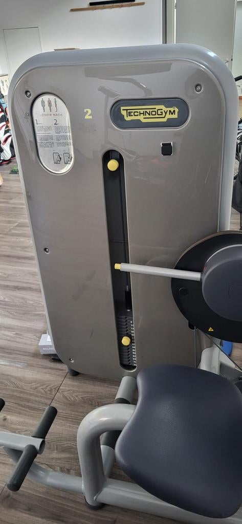 Technogym Elementline lower back, Sport en Fitness, Fitnessmaterialen, Ophalen, Gebruikt, Rug, Overige typen