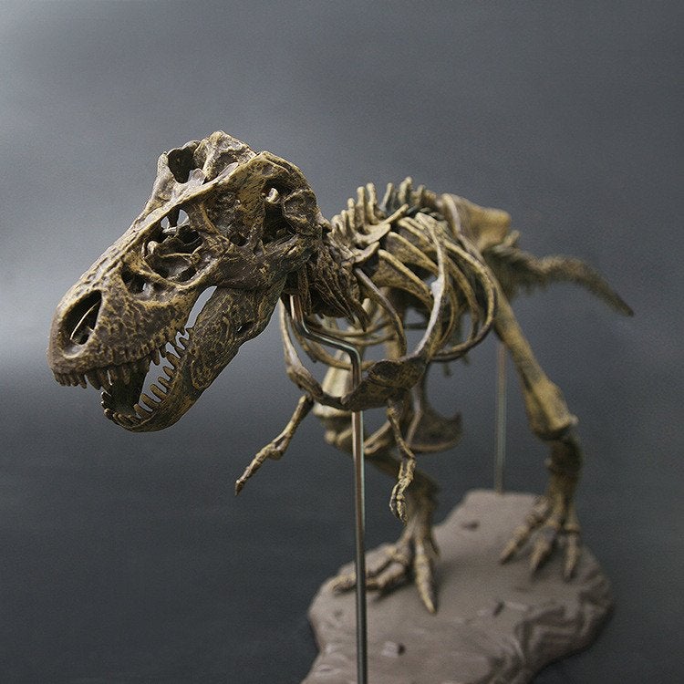 Tyrannosaurus Rex 4D Model / Dinosaurus Beeld Skelet Dier, Verzenden, Nieuw, Beeldje of Figuurtje