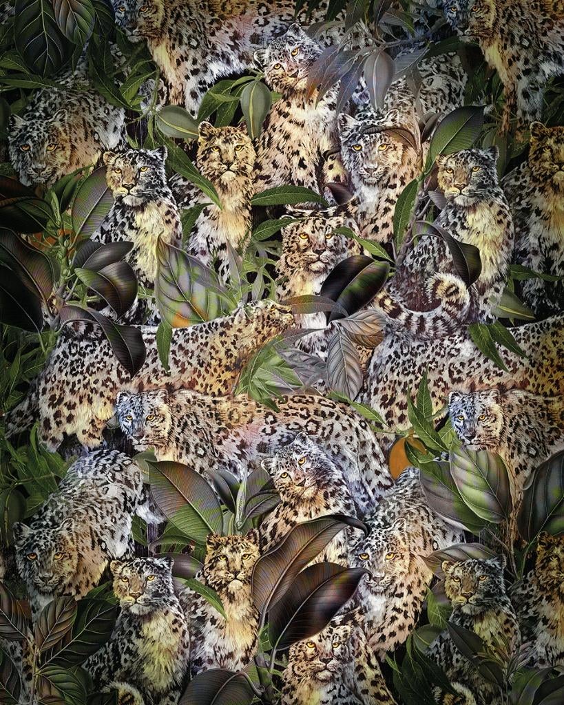Jungle behang Wild Cats, Jaguar, Panter, Luipaard, Cheetah, Verzenden, Minder dan 10 m², Jungle, dieren, trendy,