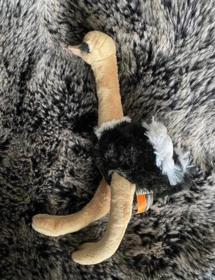 Struisvogel knuffel / nieuw ! 25 cm, Verzenden, Nieuw, Overige typen
