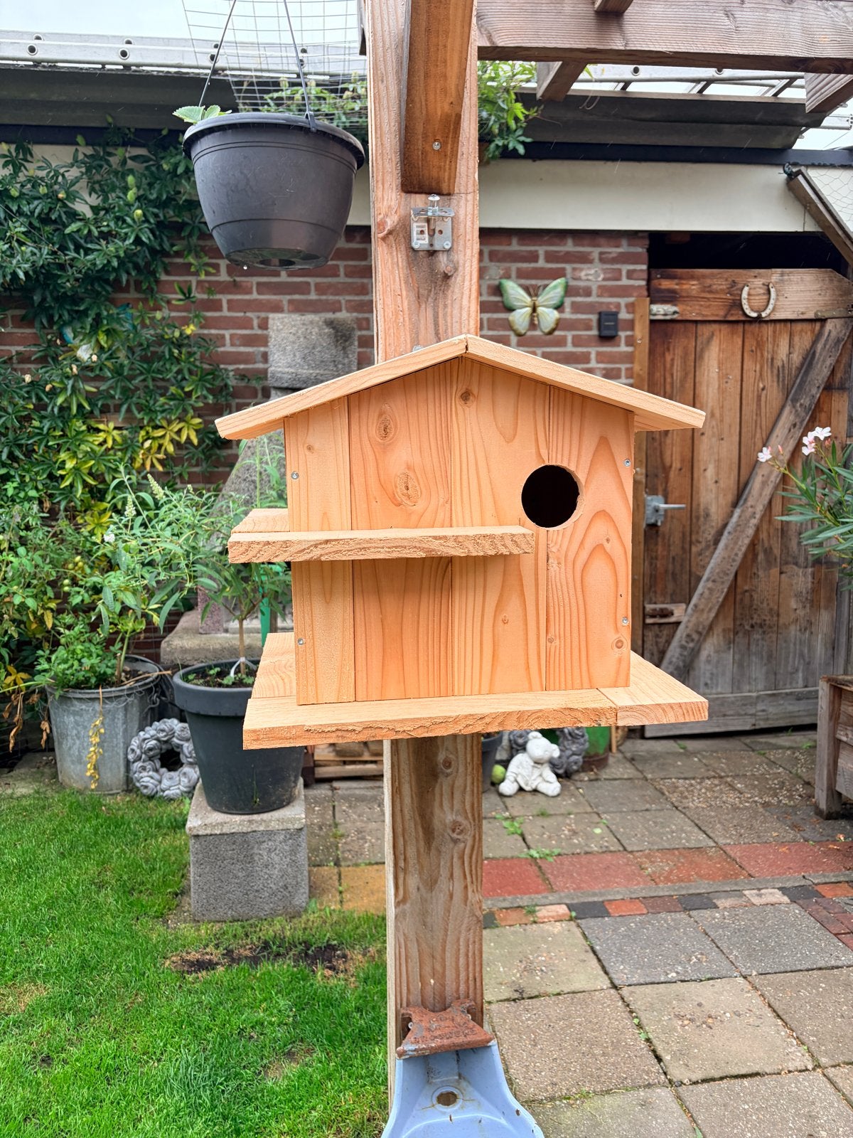 Eekhoorn kast van douglash hout, Ophalen of Verzenden, Nieuw