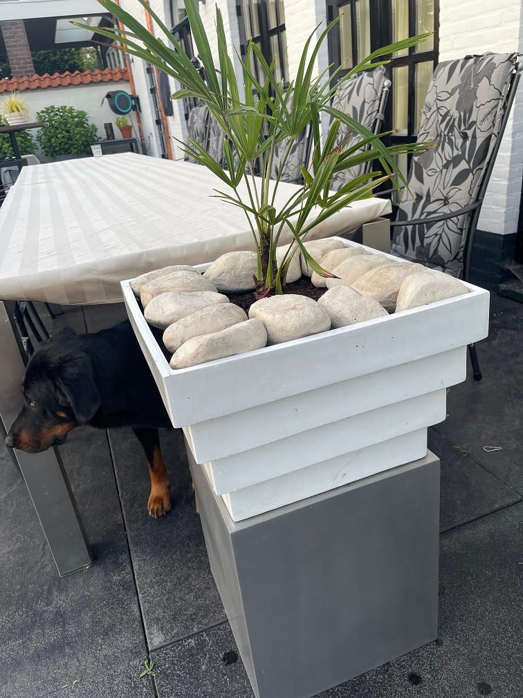 NIEUWE witte bloempot plantenbak Fiberstone Jan Des Bouvrie, Tuin en Terras, Bloempotten, Kunststof, Vierkant, Nieuw, Ophalen of Verzenden