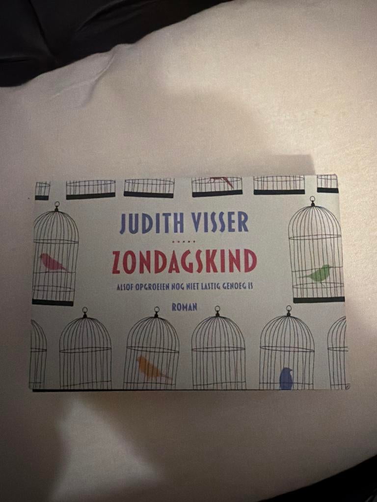 Dwarsligger Zondagskind - Judith Visser (Roman), Boeken, Ophalen of Verzenden, Gelezen, Nederland