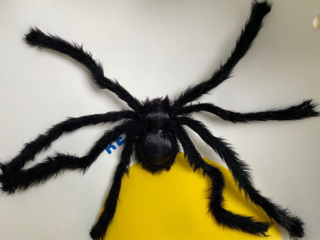 K4793 Halloween spin zwart ijzerdraad in poten, Ophalen of Verzenden, Zo goed als nieuw, Overige typen