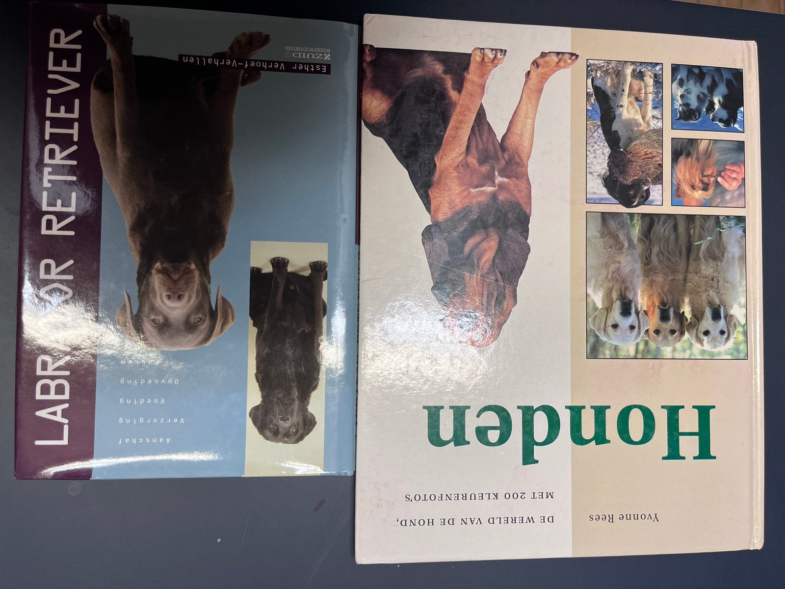 Hondenboeken: Labrador Retriever & De Wereld van de Hond, Ophalen of Verzenden, Zo goed als nieuw, Honden