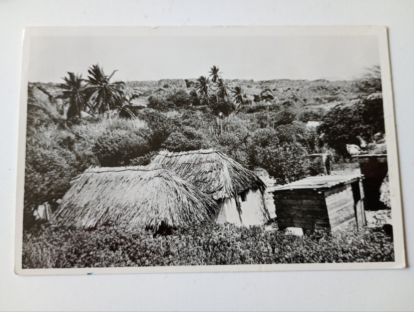 Nederlandse Antillen Curaçao San Pedro 1954, Verzamelen, Ophalen of Verzenden, 1940 tot 1960, Gelopen, Buiten Europa