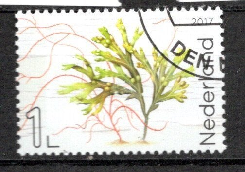 gestempelde zegel. Jaar 2017:  het wad, Ophalen of Verzenden, Na 1940, Gestempeld
