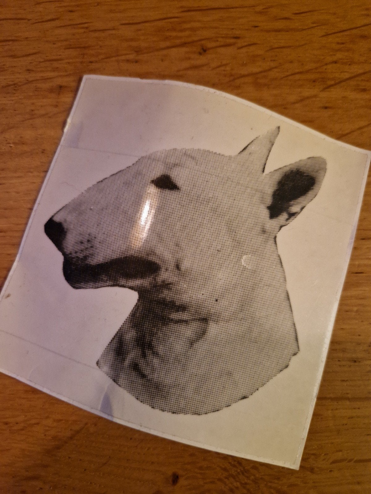 STICKER BULL TERRIËR, Verzamelen, Ophalen of Verzenden, Nieuw, Beeldje of Figuurtje