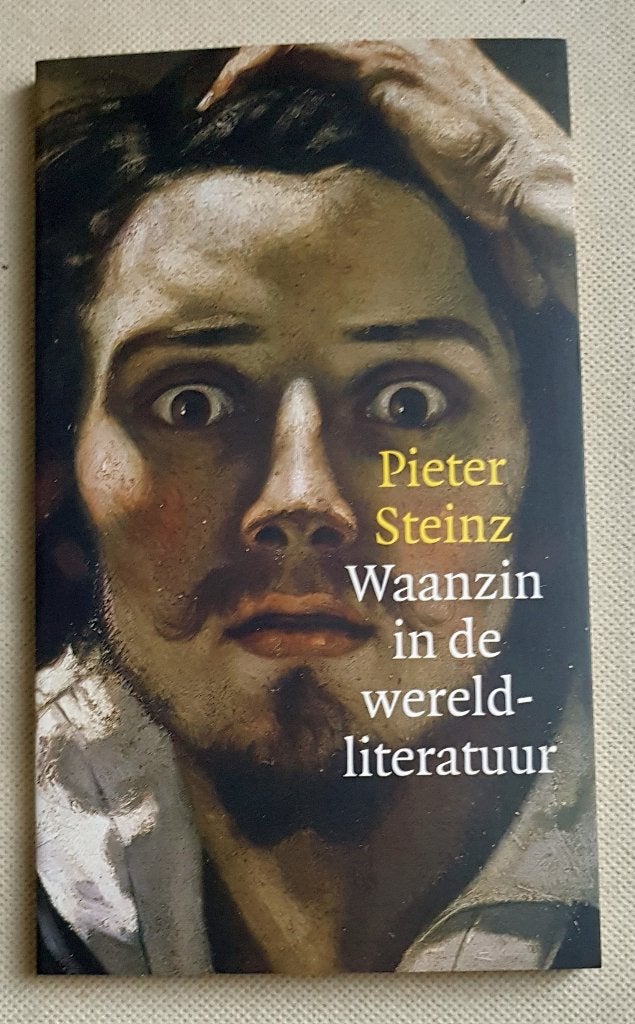 Waanzin in de wereldliteratuur Pieter Steinz, Verzenden, Gelezen, Pieter Steinz, Nederland