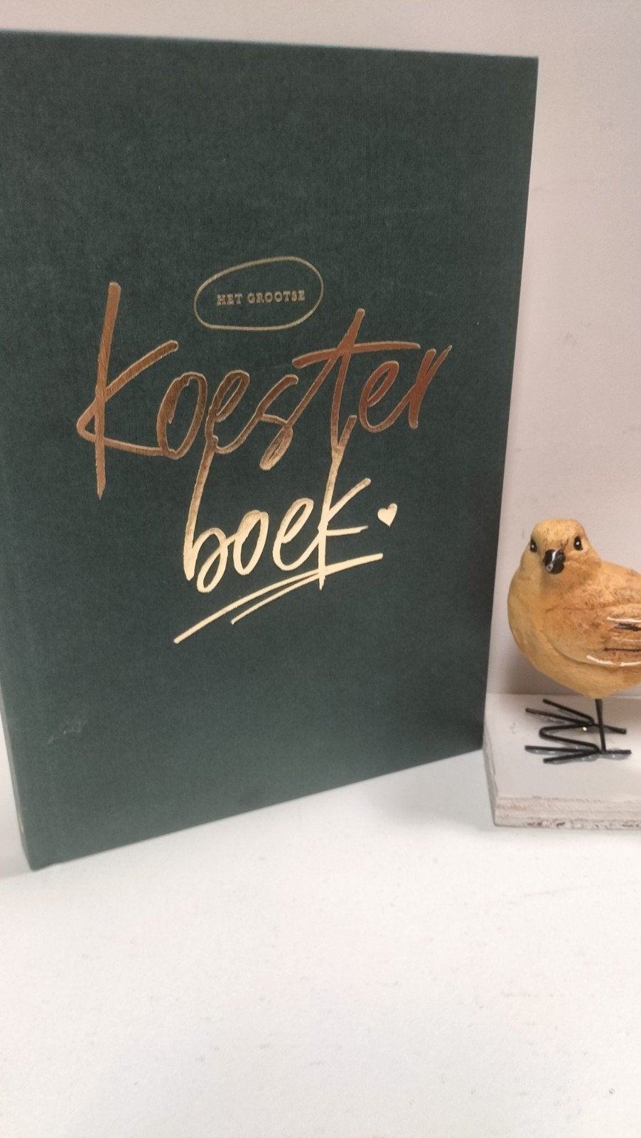 Koudijs, Danielle; Het grootse koesterboek, Ophalen of Verzenden, Gelezen, Opvoeding tot 6 jaar