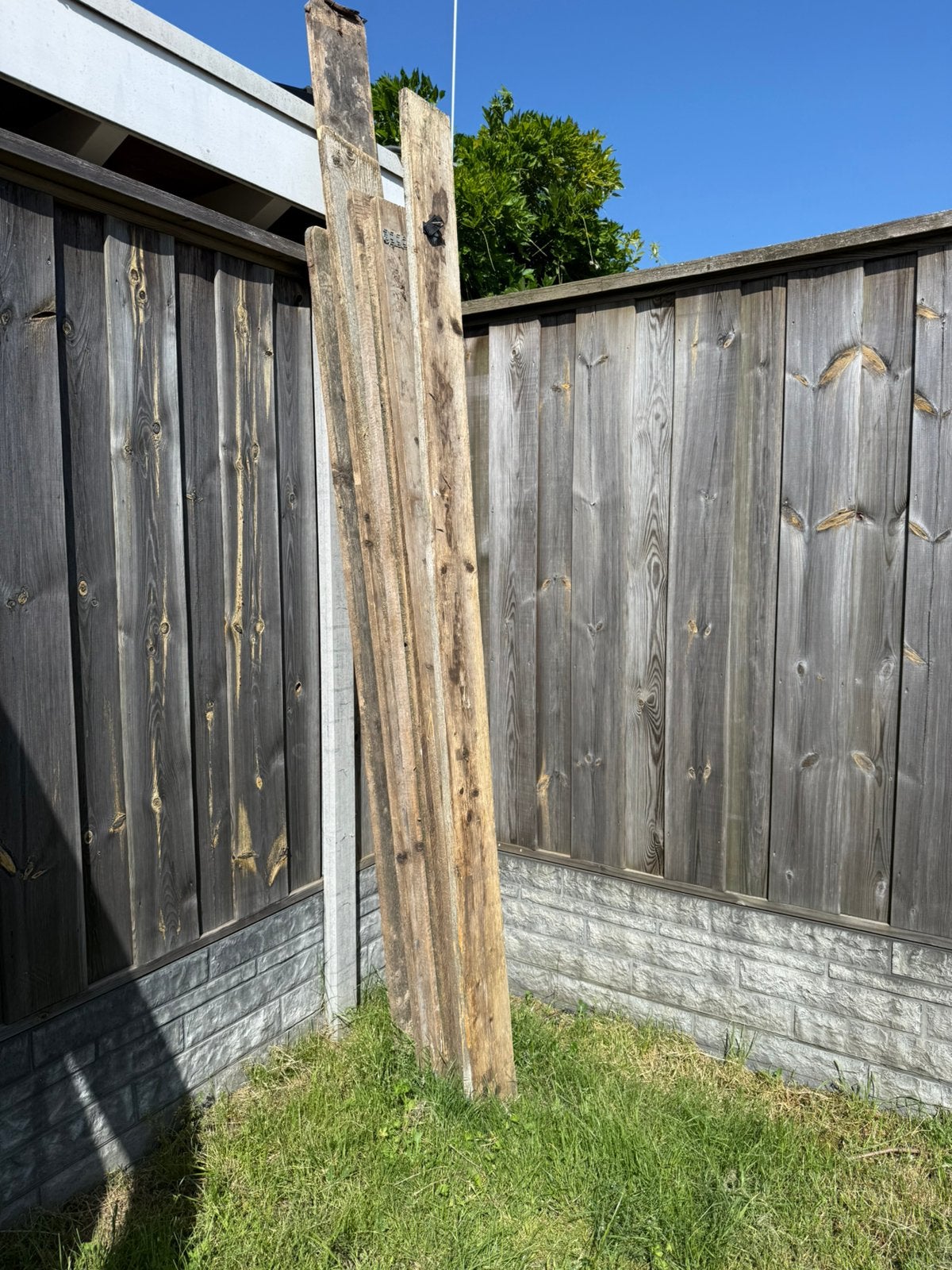 Partij Steigerplanken, 25 tot 50 mm, Ophalen of Verzenden, Zo goed als nieuw, Plank