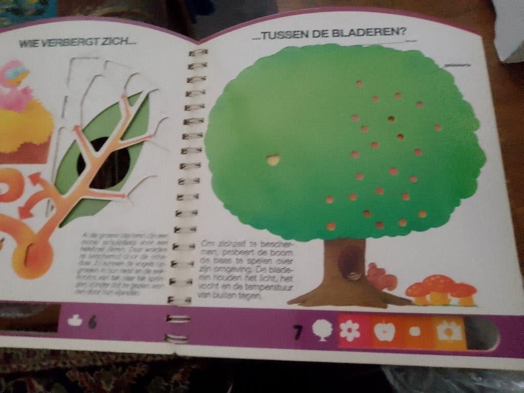 boek de boom leeft  hoe werkt  de boom teken na  prachtig, Ophalen, Zo goed als nieuw, Non-fictie