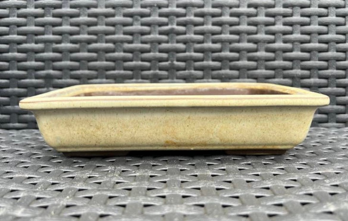 Bonsai schaal crème-bruin Japans aardewerk 19,5x11,8x4,1, Ophalen of Verzenden, Zo goed als nieuw, Aardewerk, Rechthoekig