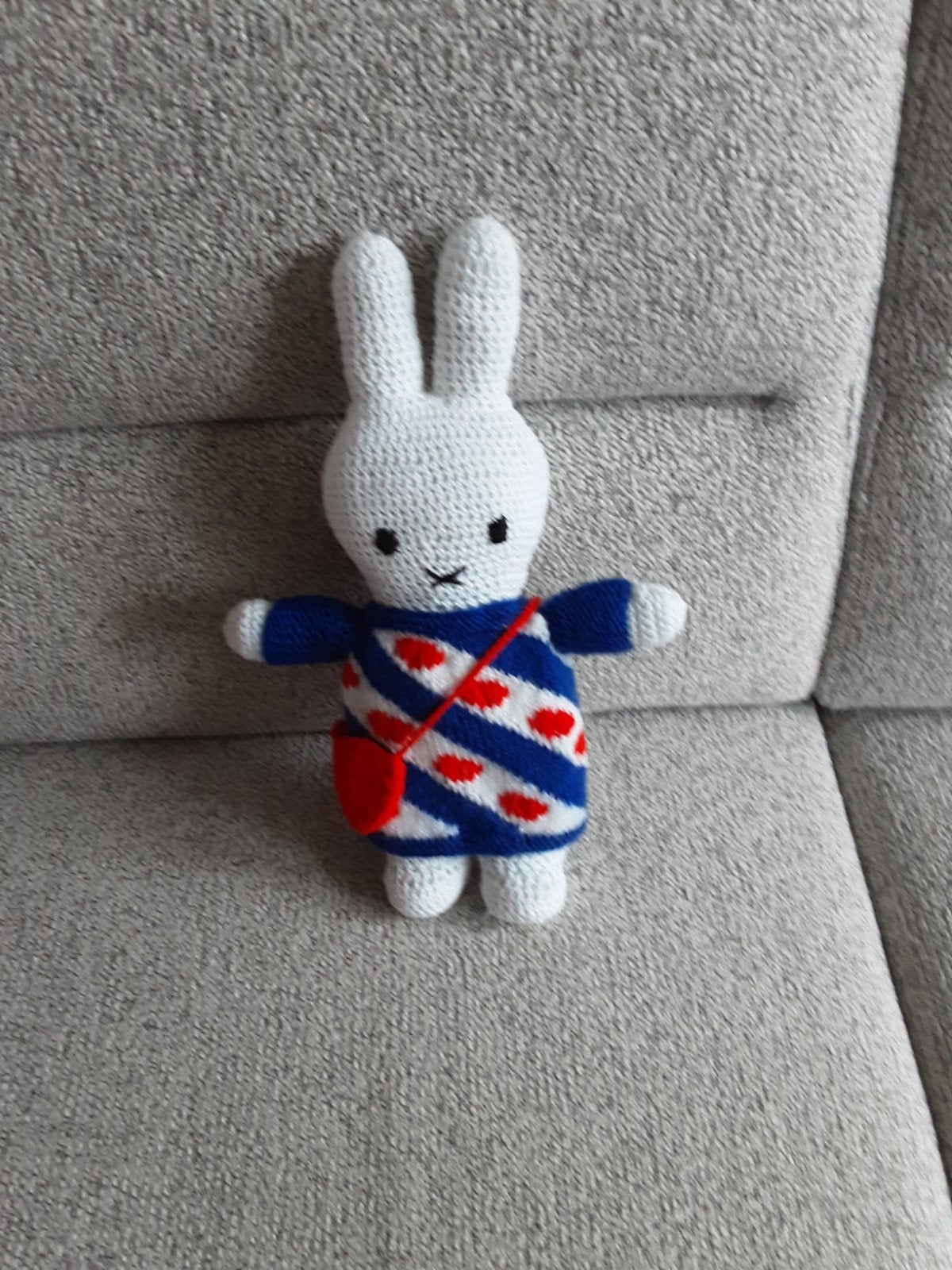 Nijntje in Fries jurkje, Ophalen of Verzenden, Nieuw